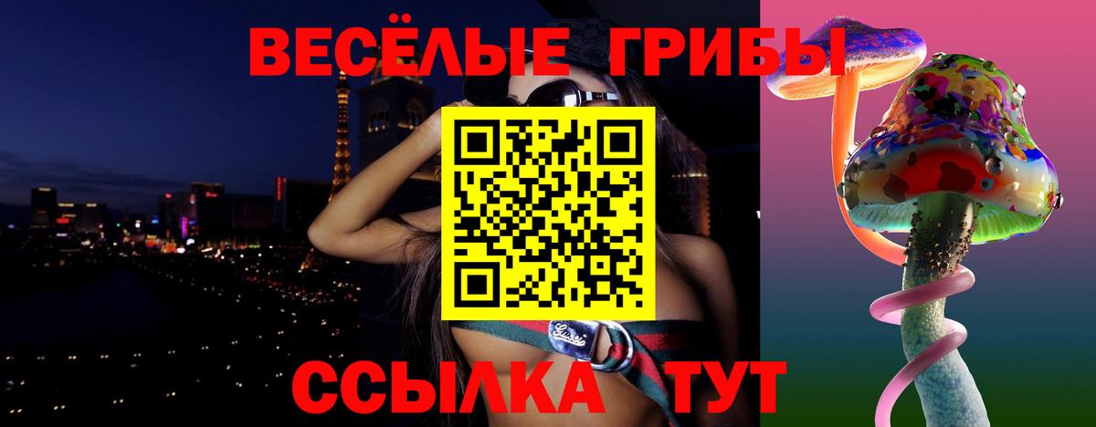 Псилоцибиновые грибы Psilocybe Ефремов